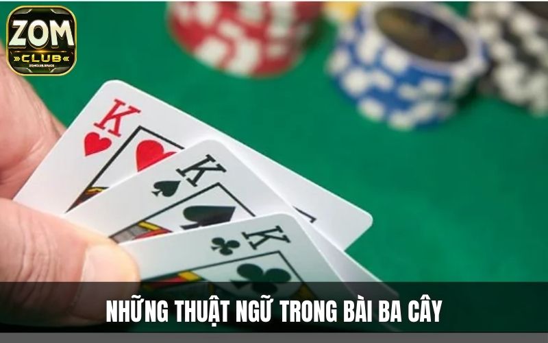 Tổng hợp các thuật ngữ trong bài ba cây cho người mới